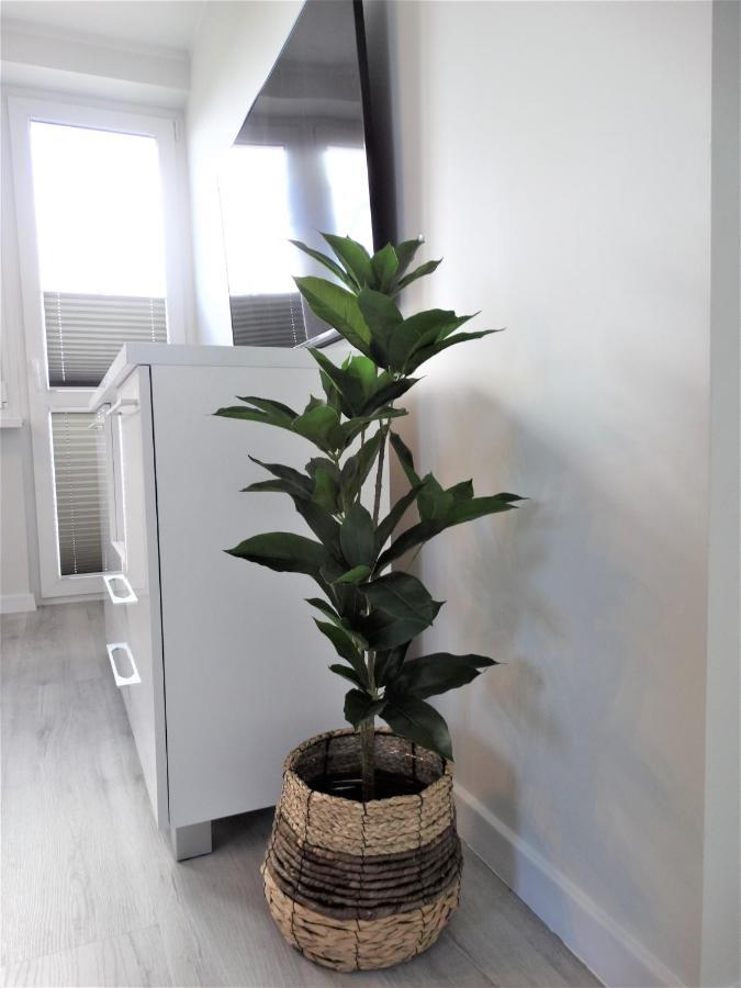 Apartament Centrum シフィノウイシチェ エクステリア 写真