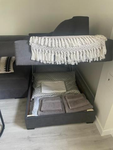Apartament Centrum シフィノウイシチェ エクステリア 写真